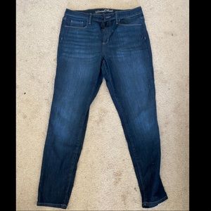 Dark Wash High Rise Skinny Jean